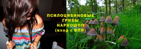 соль ск Нефтекумск
