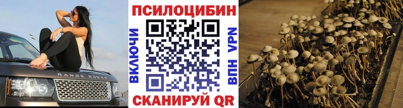 Галлюциногенные грибы мухоморы  mega ССЫЛКА  Ленинск 